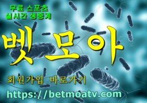 벳모아, 무료 스포츠 중계, 고화질 스포츠 중계, 실시간 스포츠 중계, 꽁머니