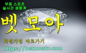 벳모아, 무료 스포츠 중계, 고화질 스포츠 중계, 실시간 스포츠 중계, 꽁머니