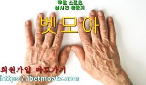 벳모아, 무료 스포츠 중계, 고화질 스포츠 중계, 실시간 스포츠 중계, 꽁머니