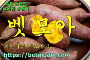 벳모아, 무료 스포츠 중계, 고화질 스포츠 중계, 실시간 스포츠 중계, 꽁머니